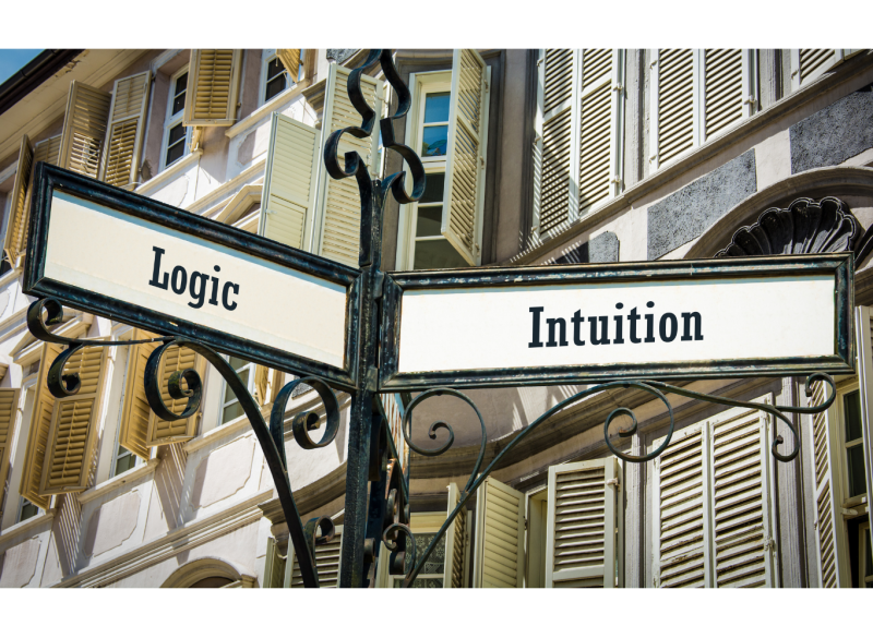 Plane mit mir - Workshop